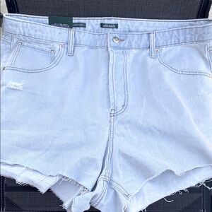 Wild Fable Light Blue Denim Shorts